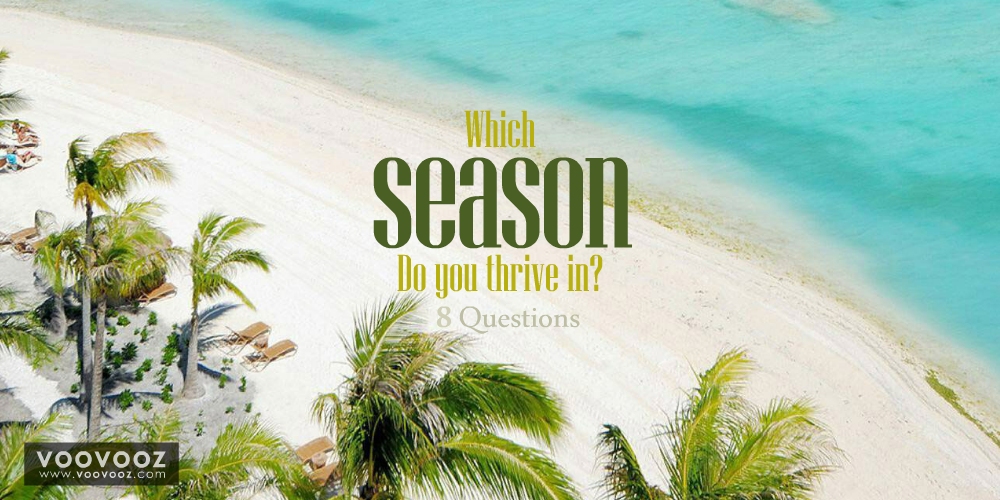 Which season do you thrive in?